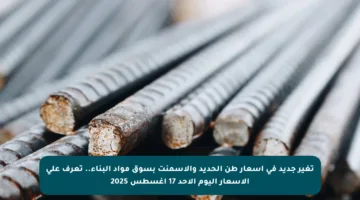 تغير جديد في أسعار طن الحديد والأسمنت بسوق مواد البناء.. تعرف على الأسعار اليوم الأحد 17 أغسطس 2025